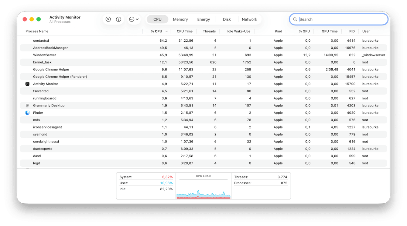 Activity Monitor on Mac