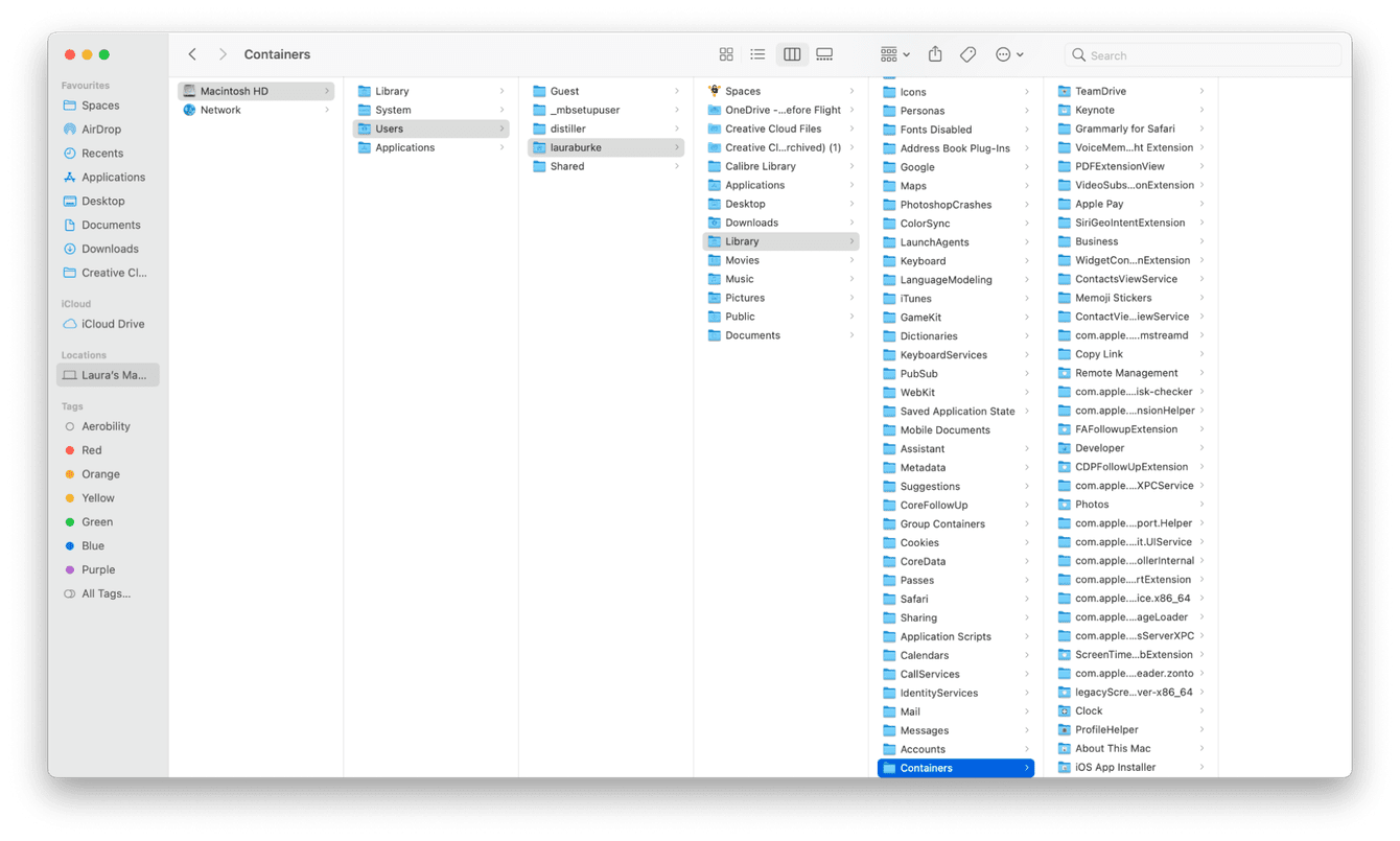 Cleaning up user library containers