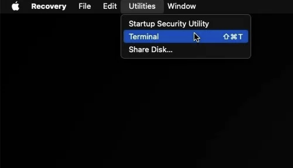 Open Terminal from recovery mode