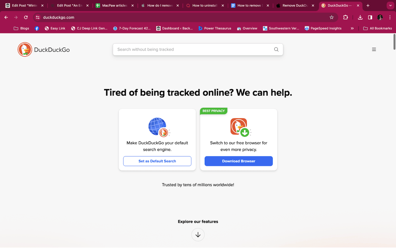 DuckDuckGo search engine 