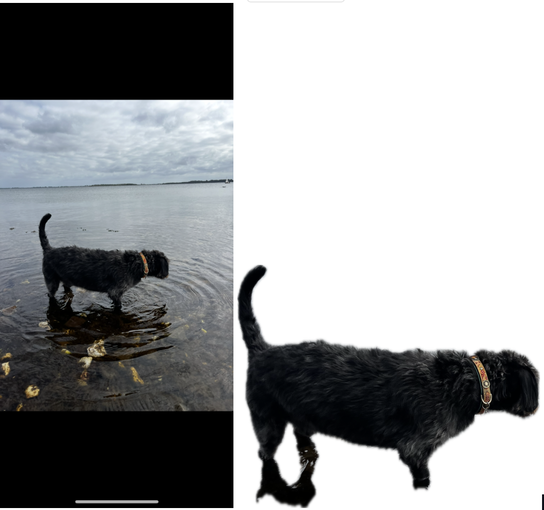 Background Removal: Erase or replace backgrounds with one tap