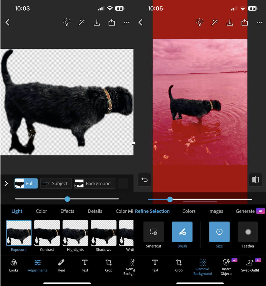 Object Eraser, remove unwanted people or items.