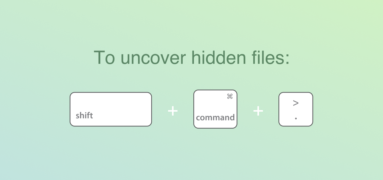 找出磁盘里的隐藏文件