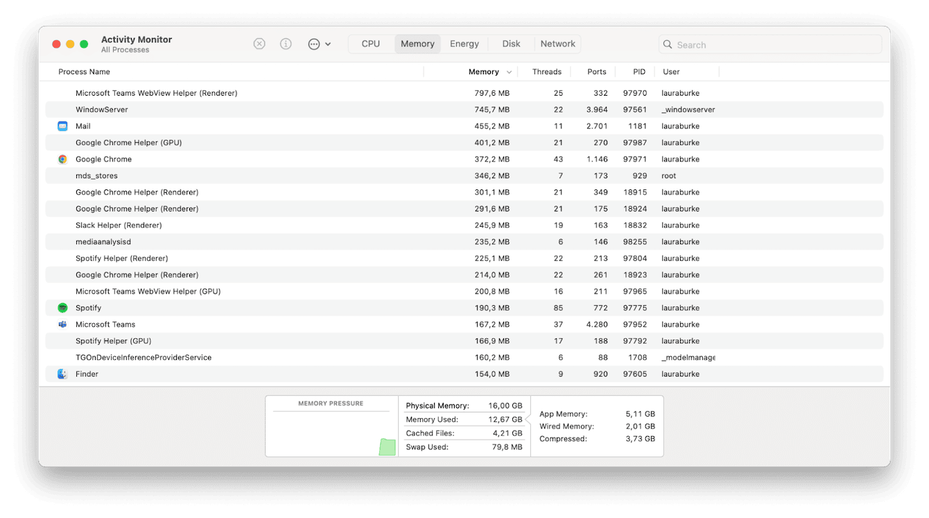 Activity Monitor on Mac